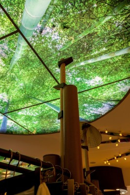 Phòng trưng bày với những mảng tròn trên trần được lồng ghép hình ảnh rừng tre mà cách chiếu sáng tạo hiệu quả như thể giữa một rừng tre xanh mát mắt và thật dễ chịu.