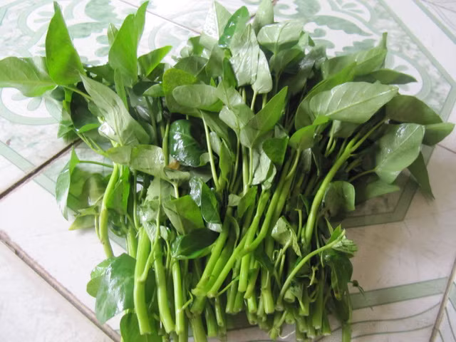 Ảnh minh họa. I.T.