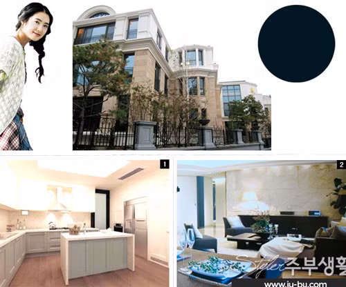 Nữ diễn viên Lee Yo Won (1980): Khởi nghiệp với vai trò người mẫu nhưng điện ảnh mới là lĩnh vực đưa Lee Yo Won đến với thành công. Ngôi nhà của sao Hàn này được trang bị những nguyên vật liệu và đồ nội thất tốt nhất ở cả bên trong lẫn bên ngoài. Sàn gỗ sồi Ý được đặt riêng; hệ thống điều hòa không khí của Đức hay thiết bị gia dụng, đồ nội thất đều được nhập khẩu từ châu Âu.