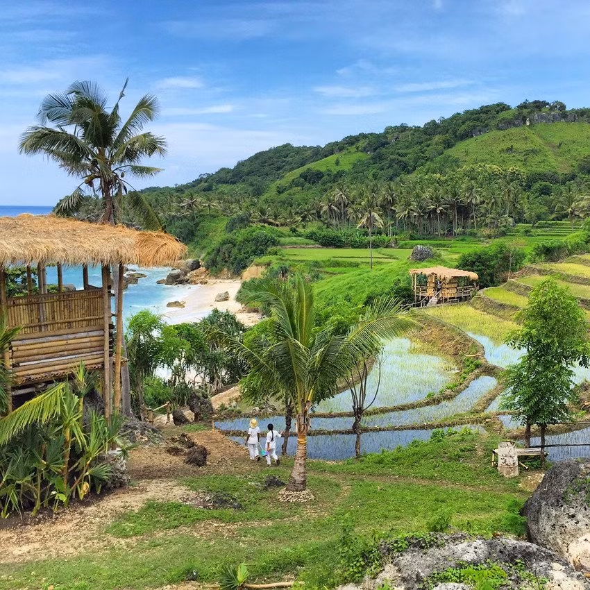 Khu nghỉ dưỡng này bao gồm 32 biệt thự lớn với bể bơi riêng cùng tầm nhìn ra đại dương tuyệt đẹp.