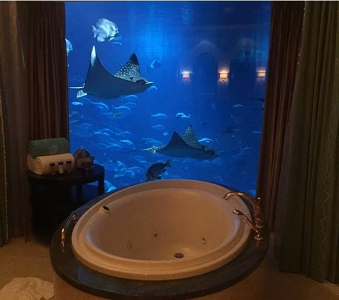 Ở phòng khách sạn có cả bể cá riêng là điều chỉ có thể xảy ra ở Dubai.