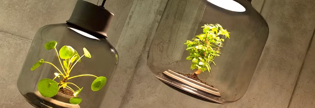 Chiếc đèn độc đáo này đang có hai thiết kế gồm dạng treo và dạng đứng. Cả hai mô hình đều gồm những cây xanh nhỏ bên trong đó, ánh sáng của đèn Led vừa đảm bảo có thể chiếu sáng và có tác dụng với sự phát triển của cây xanh tương tự như ánh sáng mặt trời. Sản phẩm độc đáo này vẫn đang được hoàn thiện và chưa có mặt trên thị trường.