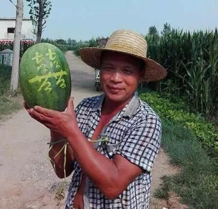 Kiến thức về thư pháp của ông chỉ là kiến thức phổ thông, tích lũy từ thời học cấp một, cấp hai và do tự luyện viết