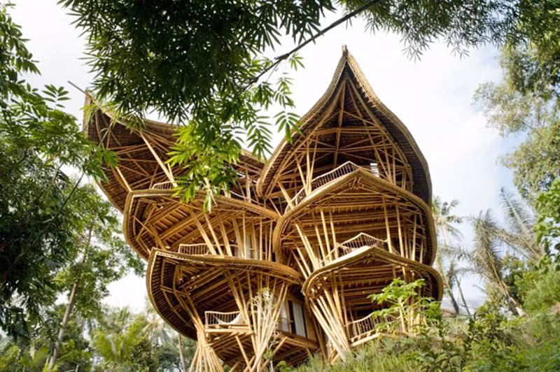 Elora Hardy cùng những cộng sự của mình và người dân bản địa tìm tòi, cải tiến việc sử dụng tre xây nhà. Elora tập hợp một nhóm các kiến trúc sư, nhà thiết kế, các thợ thủ công lành nghề thành nhóm Ibuku (Mẹ Trái đất của tôi). Trong 5 năm qua, nhóm của Elora đã xây dựng 50 công trình bằng tre độc đáo, phần lớn ở Bali, tiêu biểu trong đó có một ngôi nhà bằng tre 6 tầng.