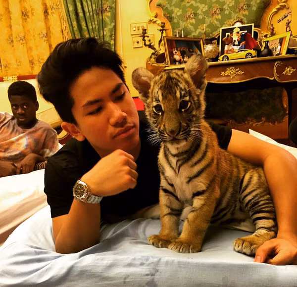 Vừa độc thân, vừa giàu có, lại vừa quyến rũ - Mateen đang sở hữu gần 200.000 lượt theo dõi trên Facebook.