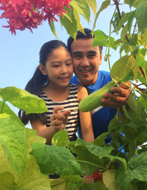 Giàn dưa chuột và mướp xanh tự trồng là nguồn thực phẩm sạch cho gia đình Quyền Linh.