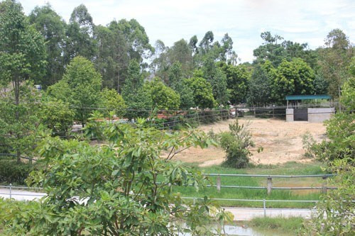 Theo dự kiến, đại gia Thản sẽ chi khoảng 70 tỷ đồng để nâng cấp vườn thú. Trong tương lai, các khu vui chơi, sân tennis và khách sạn sẽ được quy hoạch, đầu tư xây dựng rất quy mô để phục vụ khách du lịch tham quan nghỉ dưỡng tại đây.