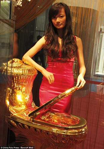 Hội nghị Thượng đỉnh Toilet Thế giới năm 2011 tổ chức tại Hải Khẩu, Trung Quốc đã giới thiệu một chiếc toilet mạ vàng trị giá 3,8 tỷ đồng.