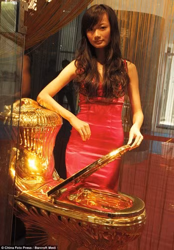 Hội nghị Thượng đỉnh Toilet Thế giới năm 2011 tổ chức tại Hải Khẩu, Trung Quốc đã giới thiệu một chiếc toilet mạ vàng trị giá 3,8 tỷ đồng.