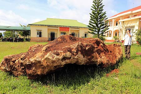 Một tháng trước, trong lúc làm vườn cà phê, người dân tại xã Lộc Tân, huyện Bảo Lâm (Lâm Đồng) phát hiện tảng đá lớn nặng 20 tấn, dài 4m, rộng 2m, dày 1m, có nhiều vân màu sắc sặc sỡ. Tảng đá sau đó được ông Phạm Văn Chính (ở cùng xã) mua lại với giá 100 triệu đồng.