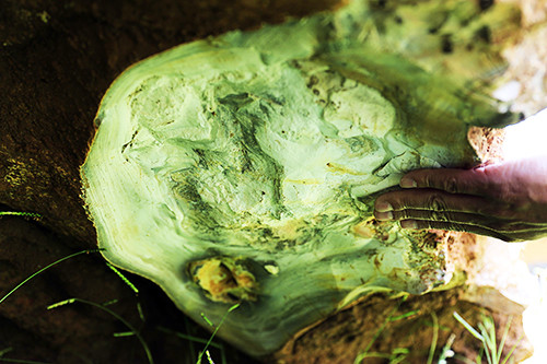 Giới chơi đá quý tại Lâm Đồng cho rằng, tảng đá trên có thể là đá canxedon. Với kích thước "khủng" 20 tấn, tảng đá của ông Chính có giá trị hàng tỷ đồng. Tuy nhiên, chính quyền địa phương tạm giữ tảng đá 20 tấn của ông Chính hơn tháng nay do nghi ngờ đây là loại đá quý thuộc quyền sở hữu Nhà nước.