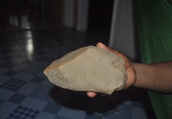 Hòn đá nghi là thân cây hóa thạch mà gia đình ông Phong đang sở hữu có màu sắc, hình dáng như thân cây bị cưa ngay ngang, thoải về một đầu, nặng khoảng 2,5kg, chiều dài khoảng 14cm, bề ngang khoảng 7cm.