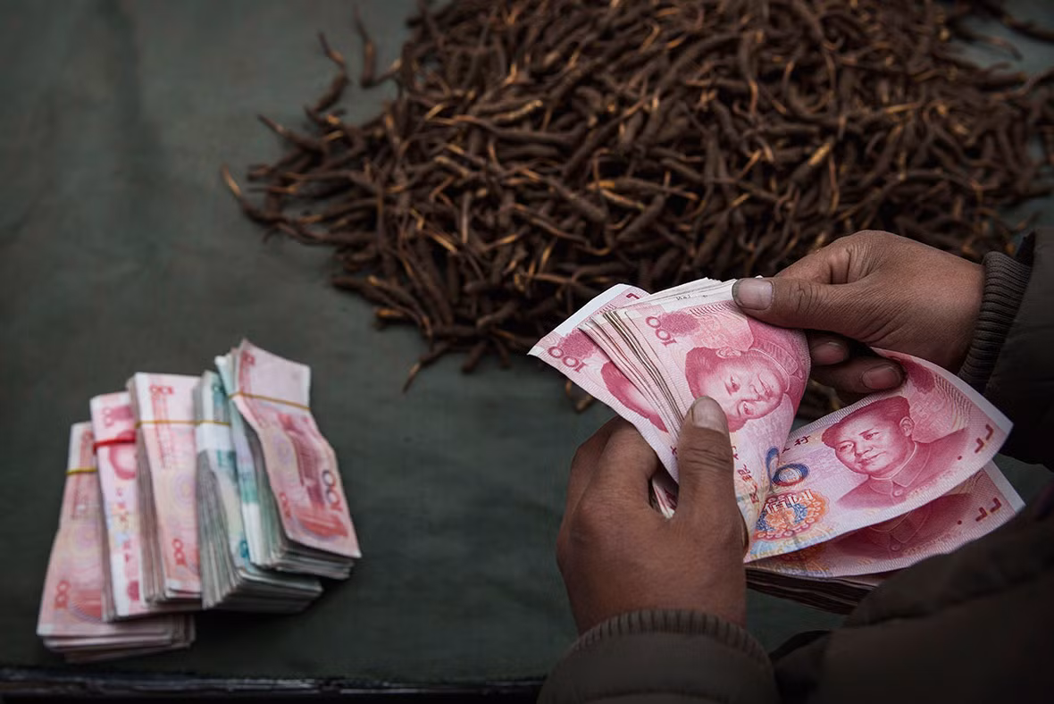 Người dân kiếm được những khoản tiền không nhỏ nhờ bán đông trùng hạ thảo.