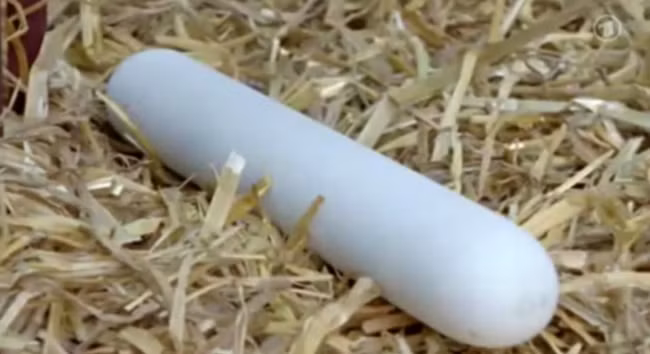 Món "trứng gà dài" nổi tiếng của Đan Mạch, có thể cắt thành những khoanh trứng đều tăm tắp. Món ăn này có cái tên đúng như hình dạng của nó: trứng dài (long eggs).