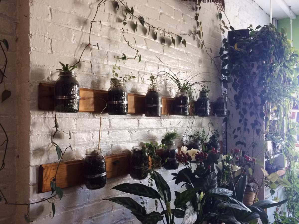 Căn hộ độc đáo được trang trí bởi rất nhiều cây xanh và hoa cỏ.