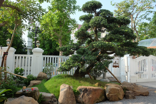 Một gia đình ở khu đô thị mới tại Long Biên, Hà Nội, đã làm khu vườn 120 m2 theo phong cách Nhật. Để tạo khu vườn độc đáo, đại gia Hà thành đã thuê một nghệ nhân Nhật thiết kế và đầu tư nhiều công sức, tiền bạc.