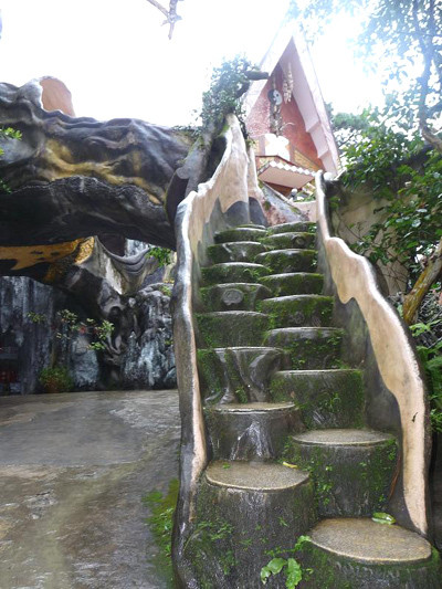 Để lên được những "cái hang" này, du khách phải đi qua một cầu thang bao vòng quanh thân cây.