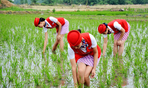 Hiệu trưởng trường cho biết, đây chính là khóa học đạo đức về sự cảm ơn với mục đích chính là giúp các nữ sinh tôi luyện được trái tim yêu thương và lòng biết ơn.