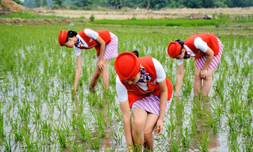 Hiệu trưởng trường cho biết, đây chính là khóa học đạo đức về sự cảm ơn với mục đích chính là giúp các nữ sinh tôi luyện được trái tim yêu thương và lòng biết ơn.