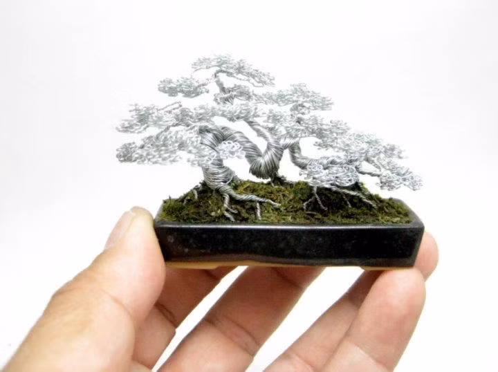 Chúng nhỏ tới mức mà bạn có thể đặt cả chậu cây lên một ngón tay.