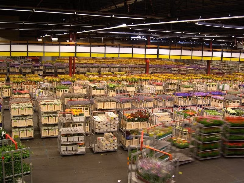 Đây cũng là tòa nhà lớn thứ hai trên thế giới với gần 20 triệu bông hoa được tiêu thụ mỗi ngày (dịp đặc biệt như ngày của mẹ, số lượng hoa tiêu thụ có thể lên tới 28 triệu bông).