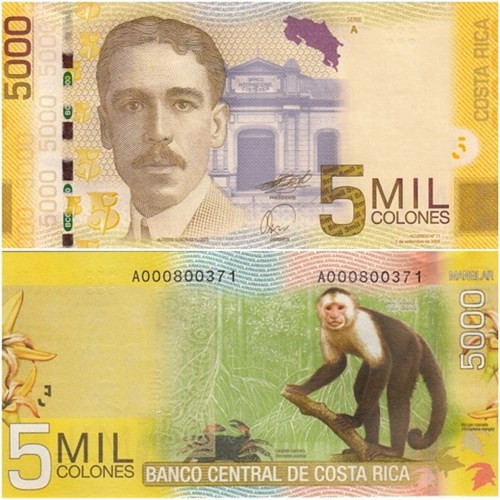 Một mặt của tờ tiền in hình con khỉ khá đẹp mắt, con mặt kia in hình người.