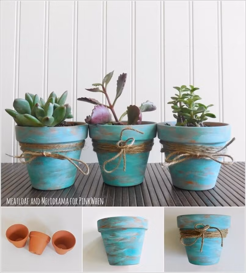 Chậu hoa được biến tấu với màu sắc nổi bật.