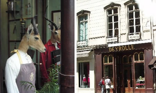 Deyroll – Cửa hàng thú nhồi bông (Pháp): Nếu bạn muốn mua nai nhồi bông, xương loài ếch Golitah, bọ cánh cứng to bằng nắm tay… thì bạn có thể tìm đến cửa hàng Deyrolle ở Paris.