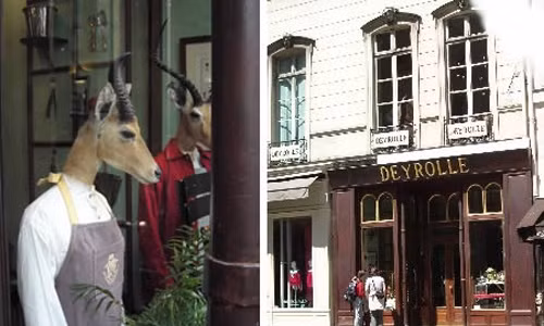 Deyroll – Cửa hàng thú nhồi bông (Pháp): Nếu bạn muốn mua nai nhồi bông, xương loài ếch Golitah, bọ cánh cứng to bằng nắm tay… thì bạn có thể tìm đến cửa hàng Deyrolle ở Paris.