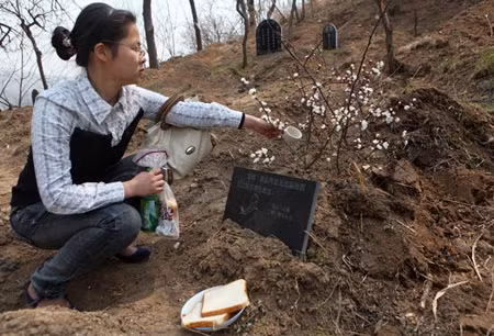 Họ thường xuyên đến thăm và tưởng nhớ thú cưng ở nghĩa trang.