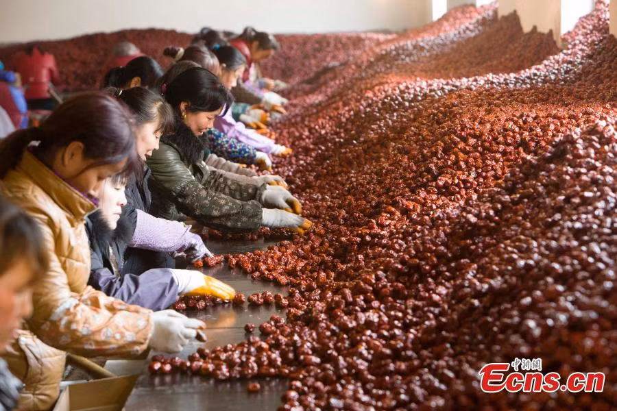 Quận Linxian là một cơ sở sản xuất quả chà là quan trọng ở Trung Quốc.