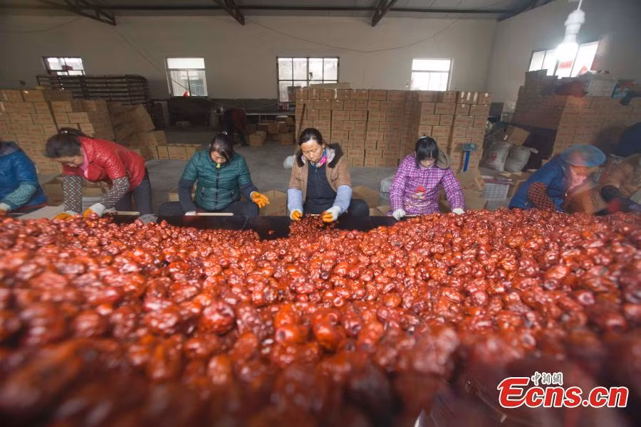 Hình ảnh bên trong nhà máy đóng gói quả chà là để phân phối cho khách đặt mua online.