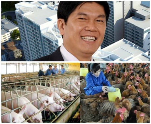 Bắt đầu từ năm 2015, Hòa Phát đã triển khai các lĩnh vực mới mẻ như sản xuất và kinh doanh thức ăn chăn nuôi. Ngày 9/3/2015, Tập đoàn Hòa Phát (HPG) ra mắt Cty TNHH MTV Thương mại và Sản xuất thức ăn chăn nuôi Hòa Phát, công ty con 100% vốn của Tập đoàn này.