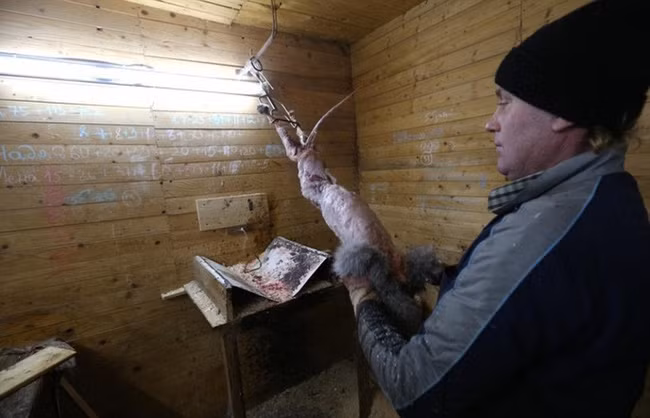 Sau khi bị lột da, xác những con vật bị ném bỏ không thương tiếc trên giàn thiêu trong ít nhất là 3 ngày.