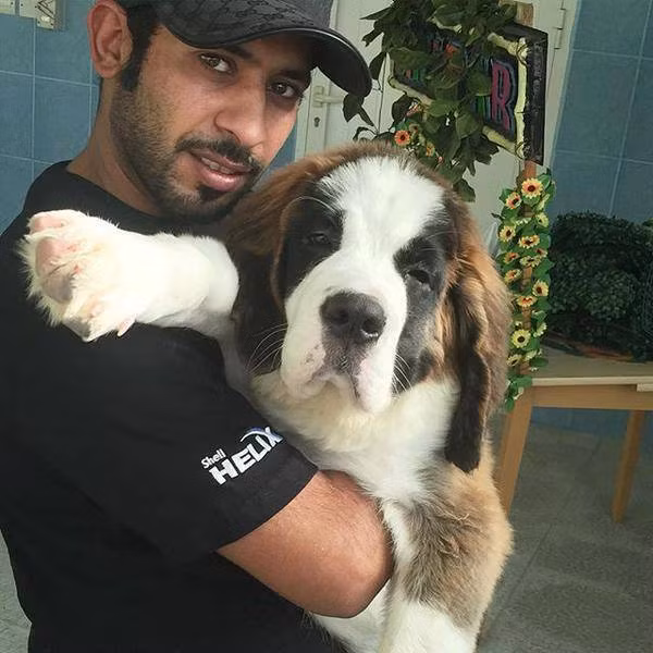 Vị đại gia này rất cưng chiều những con thú cưng của mình.