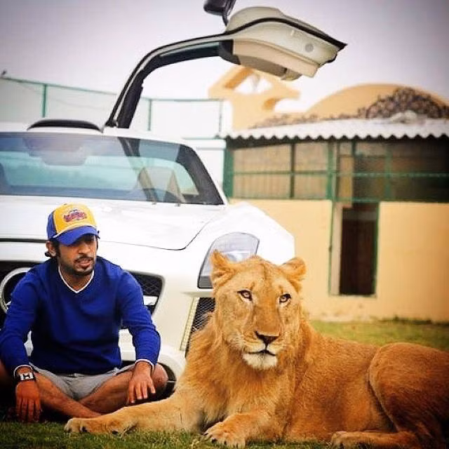 Abdulla Albuqaish yêu những con thú cưng còn hơn cả những chiếc siêu xe. Thậm chí, anh để mặc cho chúng chơi đùa, leo trèo, nằm lên capô và mui của những chiếc xe đắt tiền này.