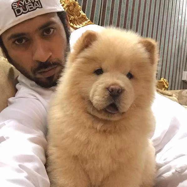 Ngày nay riêng Ả Rập Saudi đã có hơn 3.000 người sở hữu thú dữ, trong đó nhiều nhất là sư tử và báo đốm. Điều này có thể đe dọa tới sự an toàn của người dân bất kì lúc nào nếu những con thú này sổng chuồng.