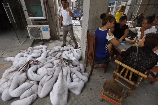 Những con thú được chất đống la liệt trên đường phố để chờ chế biến.