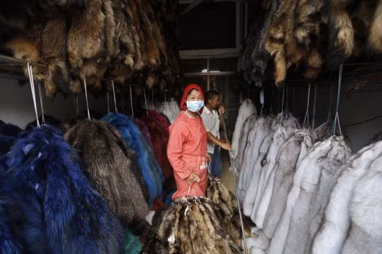 Theo thống kê của chính phủ Trung Quốc, có khoảng 1.469 công ty chế biến lông thú ở thị trấn Chongfu.