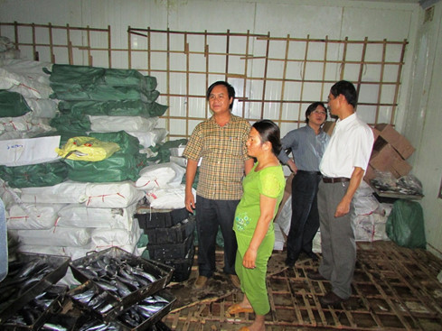 Trước đó, tháng 5/2016, Chi cục Vệ sinh an toàn thực phẩm Quảng Trị đã tiến hành lẫy 105 mẫu hải sản để xét nghiệm các chỉ tiêu hóa chất. Kết quả cho thấy, chỉ riêng mẫu cá nục phát hiện chất Phenol tại kho đông lạnh của hộ kinh doanh bà Lê Thị Thuộc (thị trấn Cửa Tùng, huyện Vĩnh Linh) có kết quả xét nghiệm với lô cá nục là 0,037 mg/kg. Đây là một chất cực độc, nằm trong danh mục cấm sử dụng trong thực phẩm.