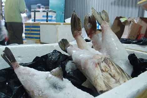 Quá trình làm việc, lực lượng liên ngành phát hiện trong kho hàng chục thùng, hộp xốp chứa các mặt hàng đông lạnh gồm: Thịt bò, các loại cá và thủy hải sản như mực, bạch tuộc, tôm, cua, ghẹ... đang trong giai đoạn bốc mùi hôi thối. Nhiều mặt hàng được bọc trong túi nilon không có nhãn mác, một số mặt hàng có dán mác chữ Hàn Quốc.