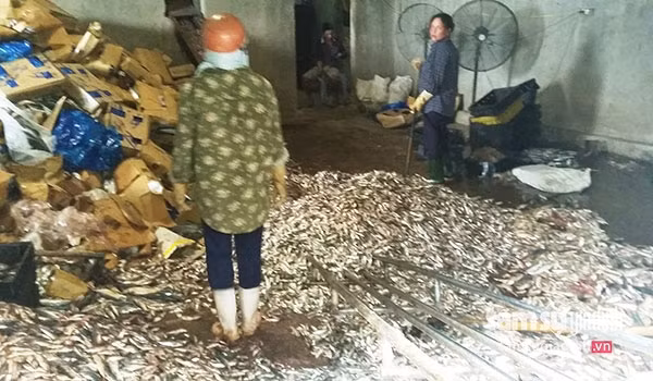 Chiều ngày 1/8, lãnh đạo Sở Y tế Hà Tĩnh cho biết, đơn vị vừa có công văn đề nghị UBND tỉnh Hà Tĩnh cho tiêu hủy hơn 8 tấn cá có hàm lượng cadimi vượt mức cho phép trong hải sản tại 4 kho đông lạnh trong địa bàn tỉnh. Đó là số lượng hải sản do ngư dân đánh bắt được sau sự cố Formosa xả thải khiến cá biển chết hàng loạt.