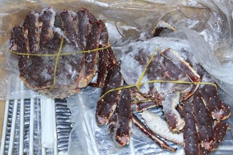 Kho hàng không đăng ký giấy phép kinh doanh cũng như giấy chứng nhận đảm bảo vệ sinh thực phẩm. Ngoài ra, công ty không có biển hiệu và bất kỳ giấy tờ pháp lý nào liên quan đến số hàng hóa trong kho. Sau đó, lực lượng chức năng đã tịch thu gần 5 tấn thực phẩm đông lạnh do Nguyễn Châu Phi làm chủ hàng, đồng thời lập hồ sơ xử lý theo quy định của pháp luật. Nhiều mặt hàng đắt tiền như cá hồi, cua hoàng đế cũng bị hư hỏng và hết hạn.