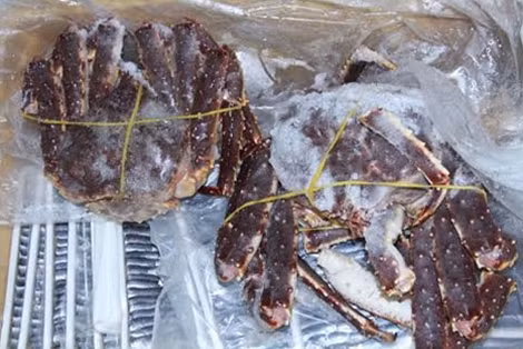 Kho hàng không đăng ký giấy phép kinh doanh cũng như giấy chứng nhận đảm bảo vệ sinh thực phẩm. Ngoài ra, công ty không có biển hiệu và bất kỳ giấy tờ pháp lý nào liên quan đến số hàng hóa trong kho. Sau đó, lực lượng chức năng đã tịch thu gần 5 tấn thực phẩm đông lạnh do Nguyễn Châu Phi làm chủ hàng, đồng thời lập hồ sơ xử lý theo quy định của pháp luật. Nhiều mặt hàng đắt tiền như cá hồi, cua hoàng đế cũng bị hư hỏng và hết hạn.