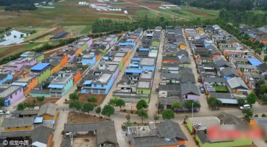 Các ngôi nhà được quy hoạch đan xen với cây cối hài hòa.