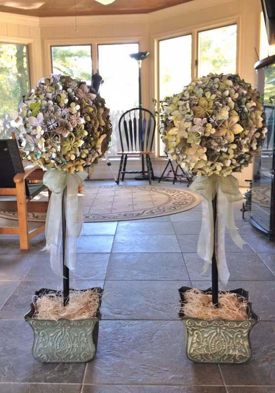 Những cây hoa giấy sẽ làm cho căn phòng tươi mới hơn.