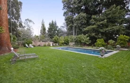 Khuôn viên xung quanh ngôi nhà với bể bơi, vườn cây và lối vào bằng cầu thang xi măng.