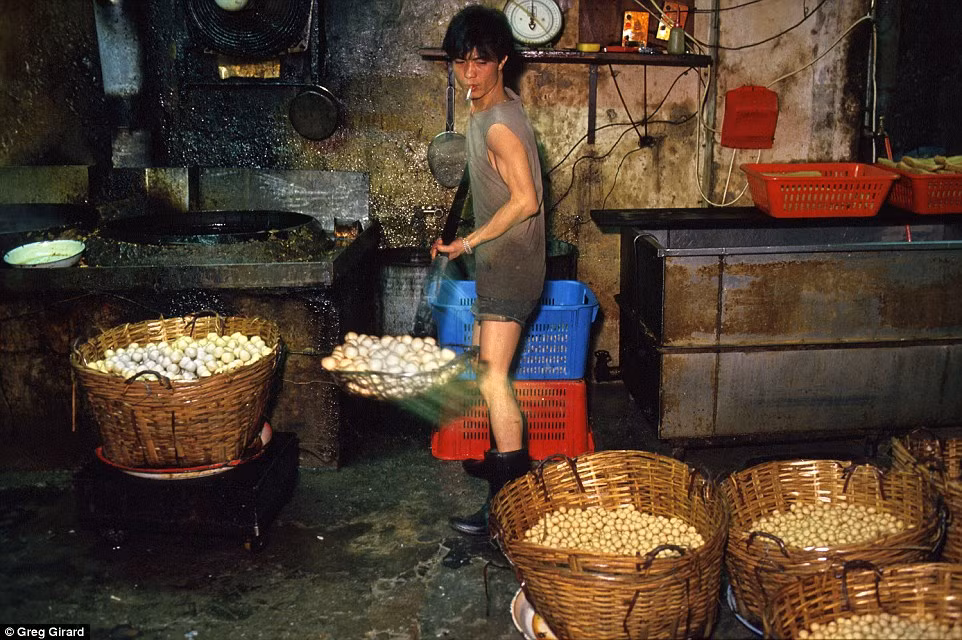 Kowloon Walled City cũng từng là nơi tập trung nhiều loại tệ nạn như mại dâm, cờ bạc, ma túy, giết người, buôn bán thuốc phiện.