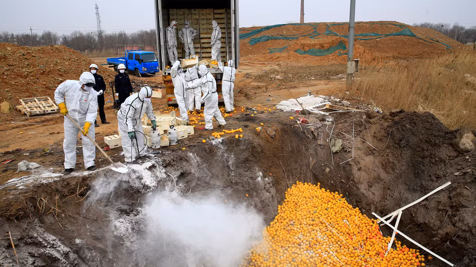 Lô trái cây gồm 2.000 hộp này đã không đáp ứng được các tiêu chuẩn kiểm tra chất lượng tại cảng Thiên Tân.