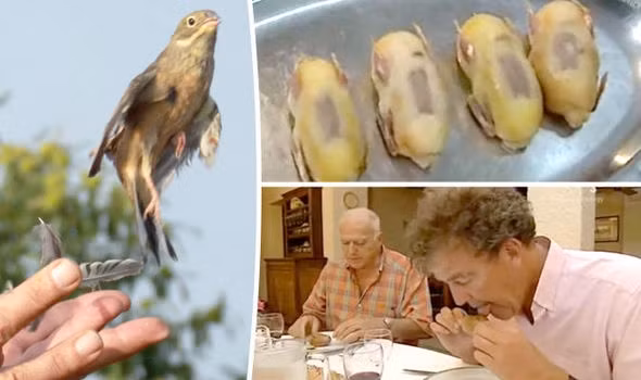 Chim họa mi nướng kiểu Pháp được coi là cách thưởng thức chất béo tinh tế và cầu kì bậc nhất thế giới. Việc thưởng thức món ăn này được tiến hành như một nghi lễ.